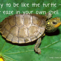 be-like-the-turtle
